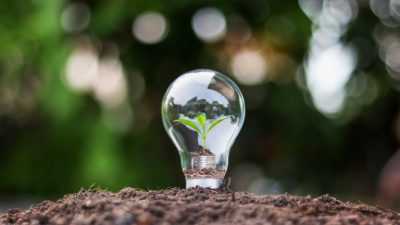 Langkah Hemat Energi di Rumah, Ampuh Kurangi Konsumsi Listrik dan Air