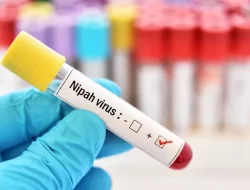 Waspadai Penyebaran Virus Nipah, Kemenkes Terbitkan Edaran