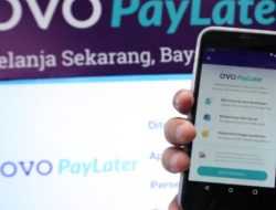 Begini Cara Daftar, Aktivasi hingga Menggunakan OVO Paylater