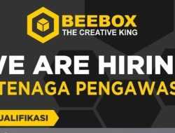 BeeBox Buka Rekrutmen Tenaga Pengawas, Penempatan Kabaena Barat