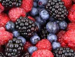 Cegah Penuaan Dini, Ini Daftar Makanan yang Bikin Awet Muda