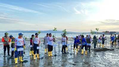 Mitigasi Bencana, BNPB Tanam 7.000 Mangrove di Pesisir Pantai Konawe