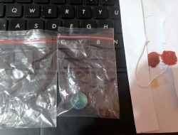 Polisi Sebut Jendela Kaca Rumah Politisi PDIP Sultra Pecah karena Kelereng