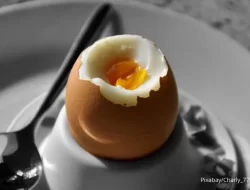 Ini 5 Menu Sarapan Sehat Bantu Turunkan Berat Badan