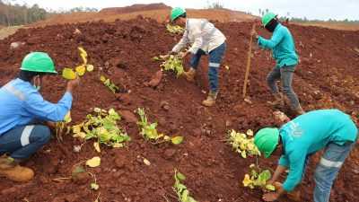 Peduli Lingkungan, PT GKP Reklamasi Lahan Bekas Tambang di Roko-roko, Konkep