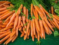 Bisa Kehilangan Manfaat, 5 Jenis Sayuran Ini Sebaiknya Tidak Dikupas