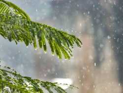 Prakiraan Cuaca Sultra 20 Oktober 2025, BMKG Masih Catat Potensi Hujan