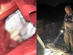 Mayat Bayi dalam Tas Ditemukan Pemulung di Tempat Sampah, Polisi Selidiki