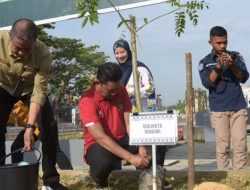 DLHK Kendari Tanam 100 Pohon Endemik di Ruang Terbuka Publik