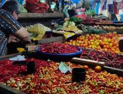 Harga Cabai Rawit di Kendari Tembus Rp 120 Per Kilo