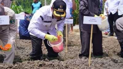 Upaya Pemda Kolaka Utara Kendalikan Inflasi