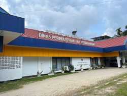 Langkah Strategis Disperindag Sultra Dorong Peningkatan Ekspor