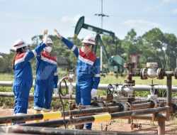 Jadi Salah Satu Pembayar Pajak Terbesar, PHR Setor Rp 80,2 Triliun ke Negara