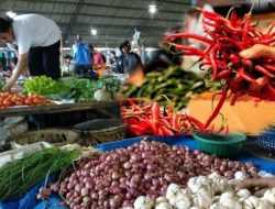 Jelang Iduladha, Harga Pangan di Sultra Stabil