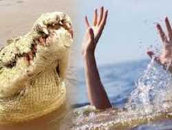 Selamatkan Adik, Pria di Buton Tengah Bertarung dengan Buaya