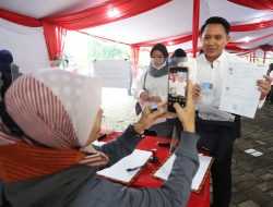 Konsel Dapat Kuota 750 CPNS dan PPPK, Ini Rincian Formasinya