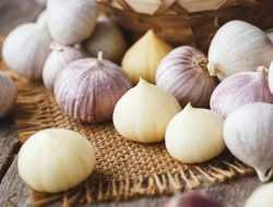 Tingkatkan Kesuburan Pria, Ini 7 Khasiat Bawang Putih Tunggal Bagi Kesehatan