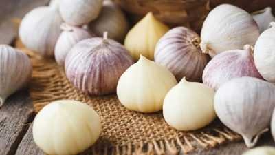 Tingkatkan Kesuburan Pria, Ini 7 Khasiat Bawang Putih Tunggal Bagi Kesehatan