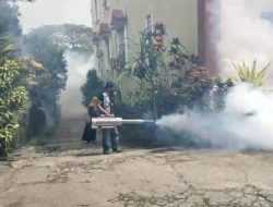 Kasus DBD Meningkat di Kendari, Dinkes Semprot Fogging di 105 Titik
