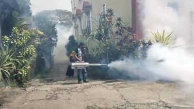 Kasus DBD Meningkat di Kendari, Dinkes Semprot Fogging di 105 Titik