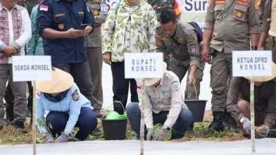 Pemda Konsel Buktikan Komitmen Tekan Inflasi Lewat Gerakan Tanam Cabai