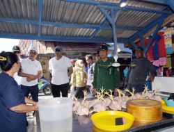 Pantau Bahan Pangan, Pj Wali Kota Kendari Temukan Ada Kenaikan Harga