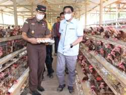 Produksi Telur Ayam di Bombana Capai 28 Ribu Butir Perhari, Pj Bupati Apresiasi Peternak