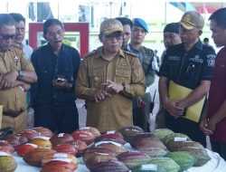 Pemda Kolut Gelar FGD Bahas Masa Depan Kakao Berkelanjutan