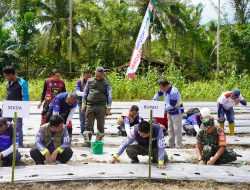 Bupati Koltim Hadiri Gerakan Tanam Cabai di Nelombu