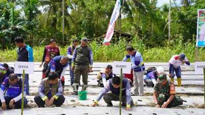 Bupati Koltim Hadiri Gerakan Tanam Cabai di Nelombu