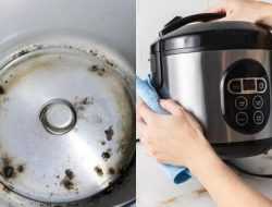 Tips Mudah dan Efektif Mengatasi Masalah Karat dalam Rice Cooker