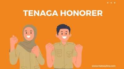 Penting Diketahui Tenaga Honorer, Ini Cara Cek Data Non ASN 2024 di BKN