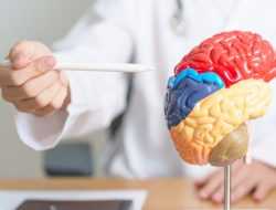 Ketahui Ini 6 Kebiasaan yang Menurunkan Fungsi Otak