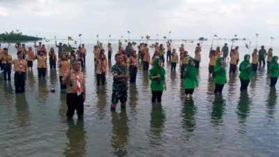 Persami Saka Wira Kartika 2024, Ratusan Pohon Bakau Ditanam di Pantai Minaminanga Butur