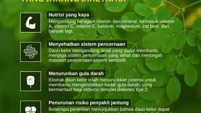 Manfaat Daun Kelor yang Jarang Diketahui