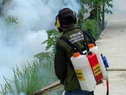 Antisipasi Demam Berdarah, Forum PRB Sultra Intensifkan Fogging