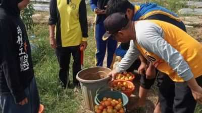 Aksi Tanam 2,7 Juta Bibit Holtikultura di Konawe Buahkan Panen Luar Biasa