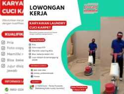 Procarp Kendari Buka Rekrutmen Karyawan Laundry, Simak Kualifikasinya