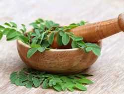 Jaga Kesehatan Jantung, Ini 9 Manfaat Daun Kelor Bagi Kesehatan