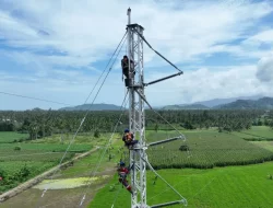 Jaga Keandalan Pasokan Listrik, PLN Bangun Tower Emergency di Jalur Wolo-Kolaka