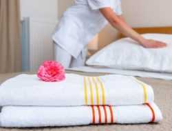 Cara Efektif Mendeteksi dan Membasmi Kutu Kasur