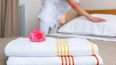 Cara Efektif Mendeteksi dan Membasmi Kutu Kasur