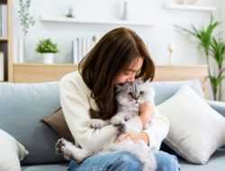 Ini 8 Manfaat Memelihara Kucing Bagi Kesehatan