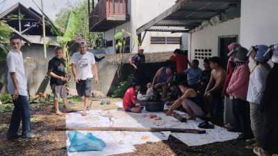 Wujud Syukur Atlit Kempo Lolos PON 2024, Perkemi Sultra Berkurban