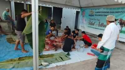 Kadin Sultra Bagikan Ratusan Kupon Daging Kurban ke Warga Kendari