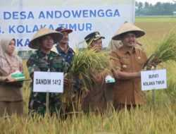 Pertama di Sultra, Bupati Koltim Luncurkan Program Listrik Masuk Sawah