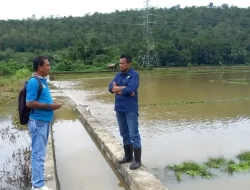 Distan dan Ketapang Baubau Data Lahan Persawahan Terdampak Banjir