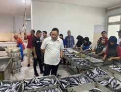 Potensi Kawasan Lumbung Ikan Nasional, Sultra Dorong Investasi Sektor Perikanan