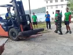 Masuk Cagar Budaya, Pemkot Baubau Minta Pengembalian Meriam yang Diambil TNI