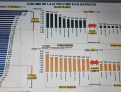 Sultra Masuk 10 Daerah dengan Inflasi Terendah
